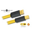 Wireworld Chroma 8 USB 2.0 A-B