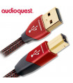 Audioquest USB Cinnamon A-B