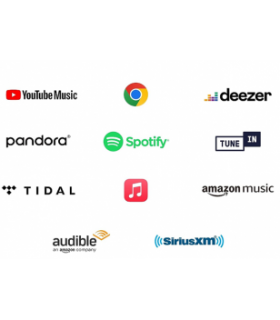 Streamers / servidor de audio WiiM Pro Plus