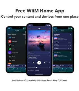 Streamers / servidor de audio WiiM Pro Plus