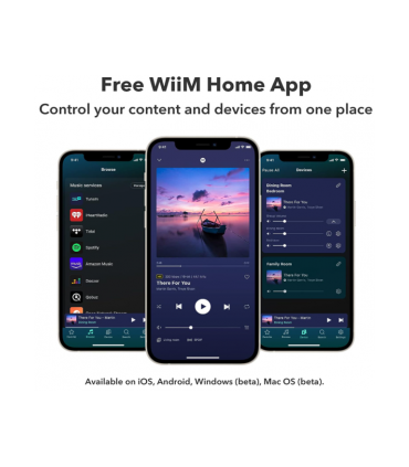 Streamers / servidor de audio WiiM Pro Plus