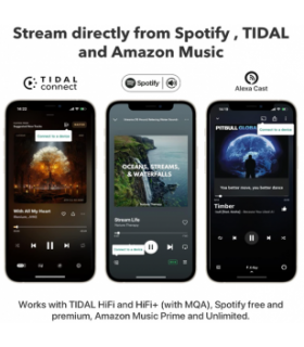 Streamers / servidor de audio WiiM Pro Plus