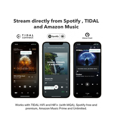 Streamers / servidor de audio WiiM Pro Plus