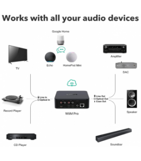Streamers / servidor de audio WiiM Pro Plus