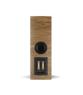 Dali Rubikore Cinema Walnut Rear