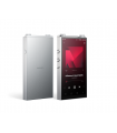 Astell&Kern PD20