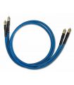 Clear Beyond Interconnect (RCA o XLR)