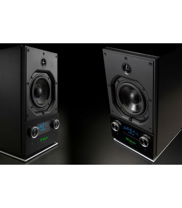 Altavoces inalámbricos bluetooth McIntosh RS150