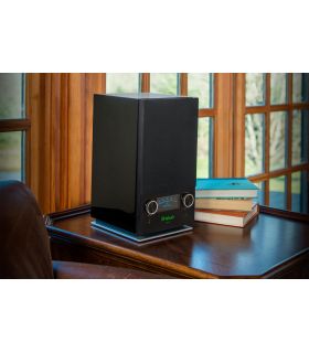 Altavoces inalámbricos bluetooth McIntosh RS150