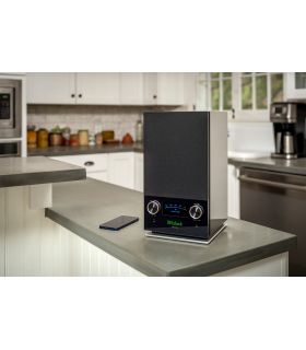 Altavoces inalámbricos bluetooth McIntosh RS150